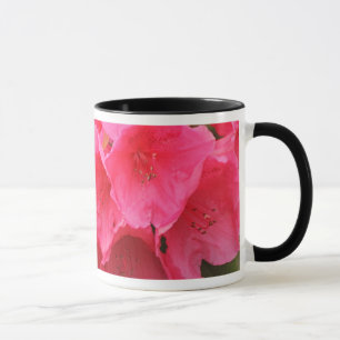 Washington, Seattle, Puget Sound, Discovery Park Mugg
