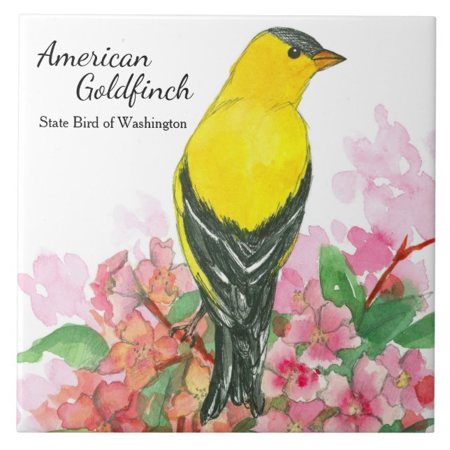 Washington Souvenir American Goldfinch Gult Kakelplatta (Framsidan)