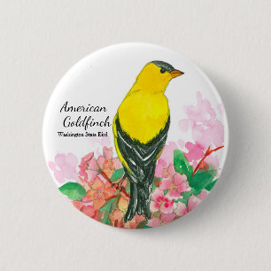 Washington State Bird American Goldfinch Knapp