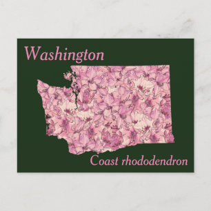 Washington State Flower Collage Karta Vykort