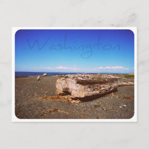 Washington State Kust: Foto Vykort