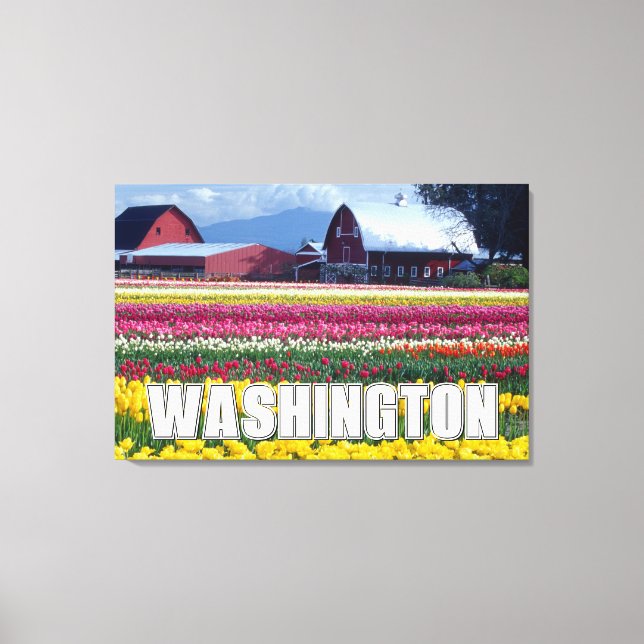 Washington State | Tulpanfält Canvastryck (Framsida)