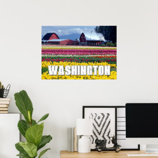 Washington State | Tulpanfält Poster