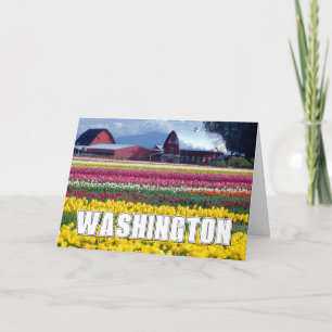 Washington State Tulpanfält Tack Kort