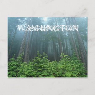 Washington State-vykort Vykort