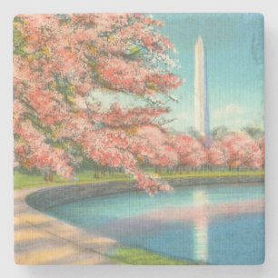 Washington Stenunderlägg