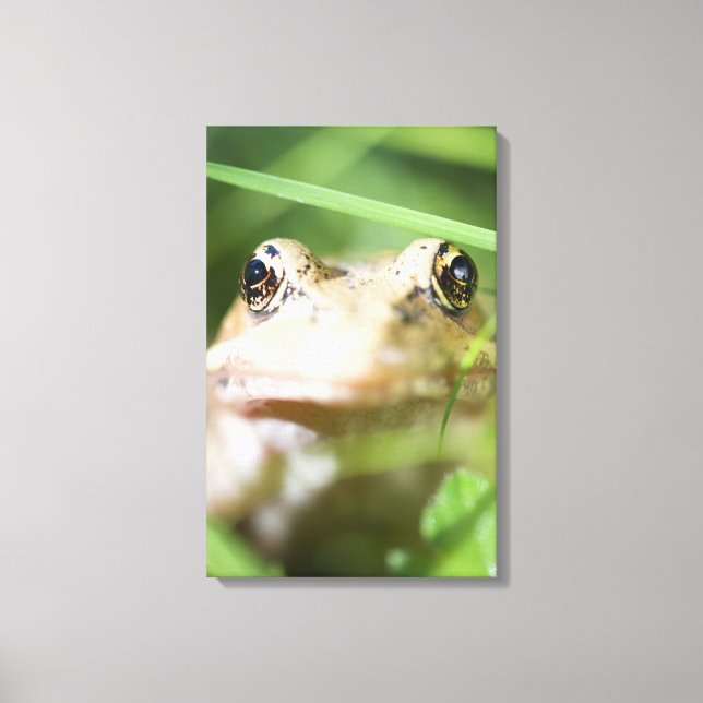 Washington, USA 2 Canvastryck (Framsida)