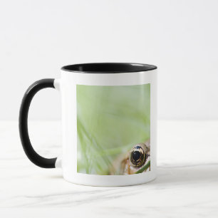 Washington USA Mugg