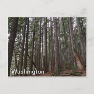 Washington Vykort