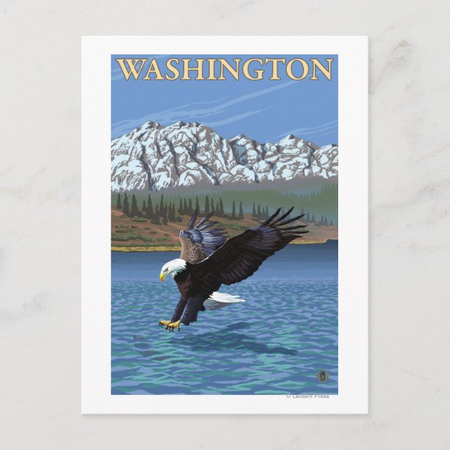 WashingtonDiving Eagle Vykort (Framsida)