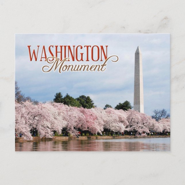 Washingtonmonument med körsbärs-blommar vykort (Framsida)