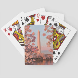 Washingtonmonumentet - Körsbärsblommor Casinokort