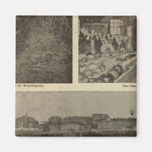 Washingtons mångsidiga sparsamhet magnet