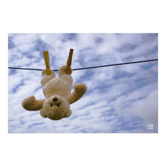 Waslijn met knuffelbeer die hangt te drogen. fototryck (Framsidan)