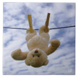 Waslijn met knuffelbeer die hangt te drogen. kakelplatta<br><div class="desc">Een Knuffelbeer die hangt te drogen aan een waslijn. Een grappig beeld van een situatie waarin tegenslag met humor word opgelost. Het herstellen naar positieve en optimistische blik met relativerende grap over weerbaarheid. Omkerend denken met een zachte blik.</div>