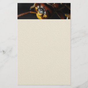 WASP BREVPAPPER
