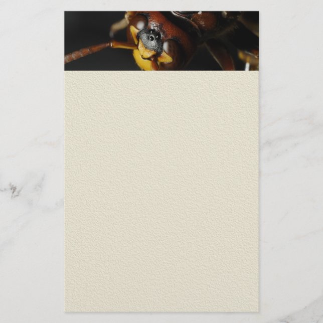 WASP BREVPAPPER (Framsida)