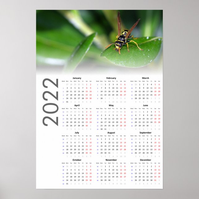 Wasp Calendar 2022 Poster - Monday start (Framsidan)