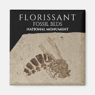 Wasp Fossil Florisgent Fossil Beds National Monume Magnet