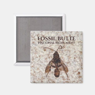 Wasp Fossil, Fossil Sjö, Fossil Butte NM, Wyoming Magnet