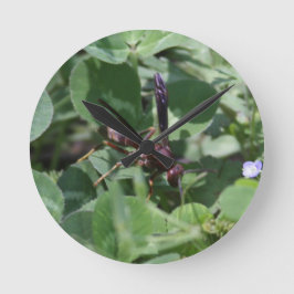 WASP-klocka Rund Klocka