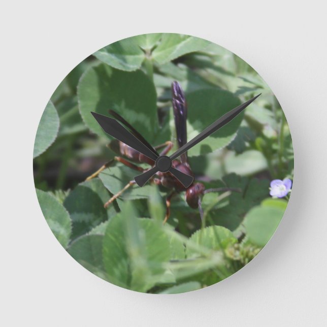 WASP-klocka Rund Klocka (Framsida)