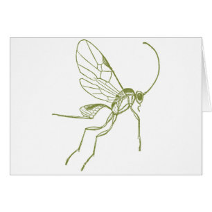 Wasp Meteorus Hyphantria Hälsningskort