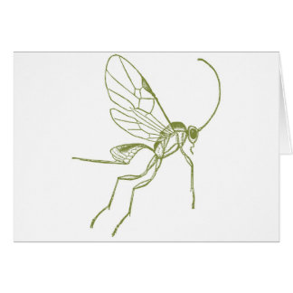 Wasp Meteorus Hyphantria Hälsningskort