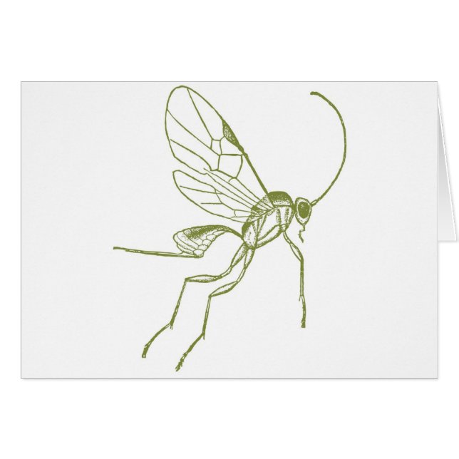 Wasp Meteorus Hyphantria Hälsningskort (Framsidan Horizontal)