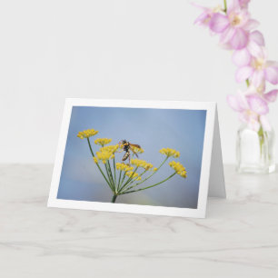 Wasp Pollination Vild Fennel Porträtt Kort