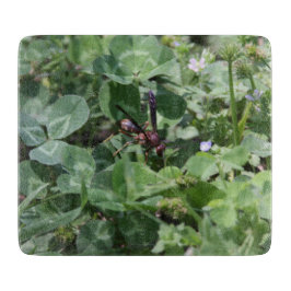 WASP-skärningspanel