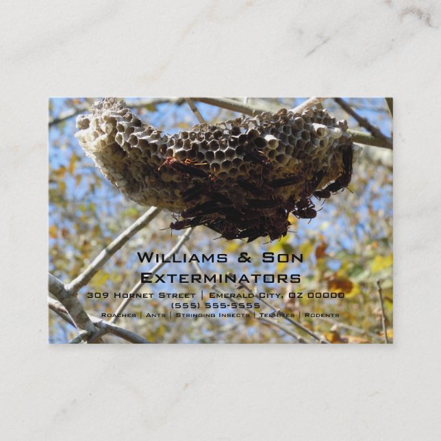 Waspen bygga bo! Yikes! Visitkort (Framsida)