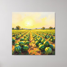 Wassermelonenfeld im Sonnenschein