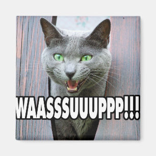 WASSUP - KAT-PM MAGNET