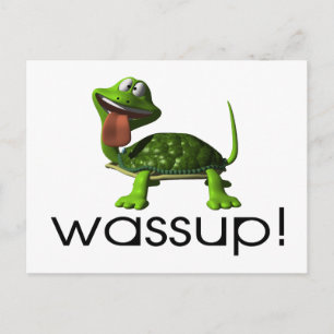 Wassup Turtle Vykort