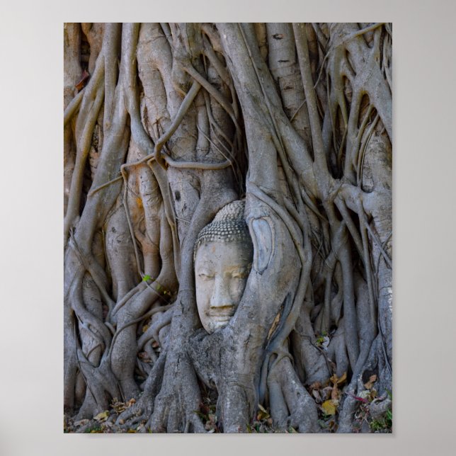 Wat Mahathat Buddha Head Poster (Framsidan)