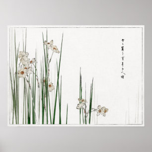 Watanabe Seitei Jonquil Illustration från Bijutsu Poster
