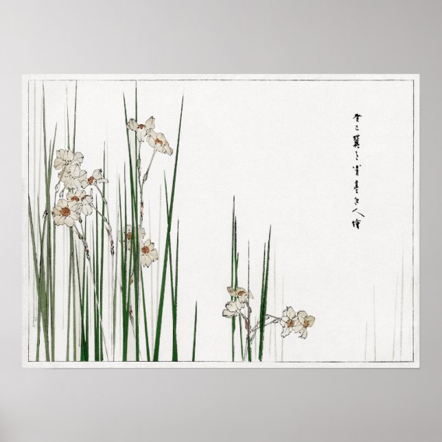 Watanabe Seitei Jonquil Illustration från Bijutsu Poster (Framsidan)