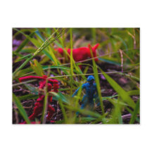 Watch Your Back vykort