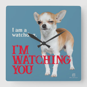 Watchdog Chihuahua - Anpassade Fyrkantig Klocka