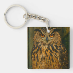 Watcher - Eurasien Eagle-Uggla i Woodland Light