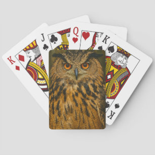 Watcher - Eurasien Eagle-Uggla i Woodland Light Casinokort