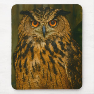 Watcher - Eurasien Eagle-Uggla i Woodland Light Musmatta