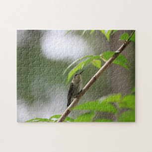 Watcher Hummingbird Family Roligt Puzzle Pussel