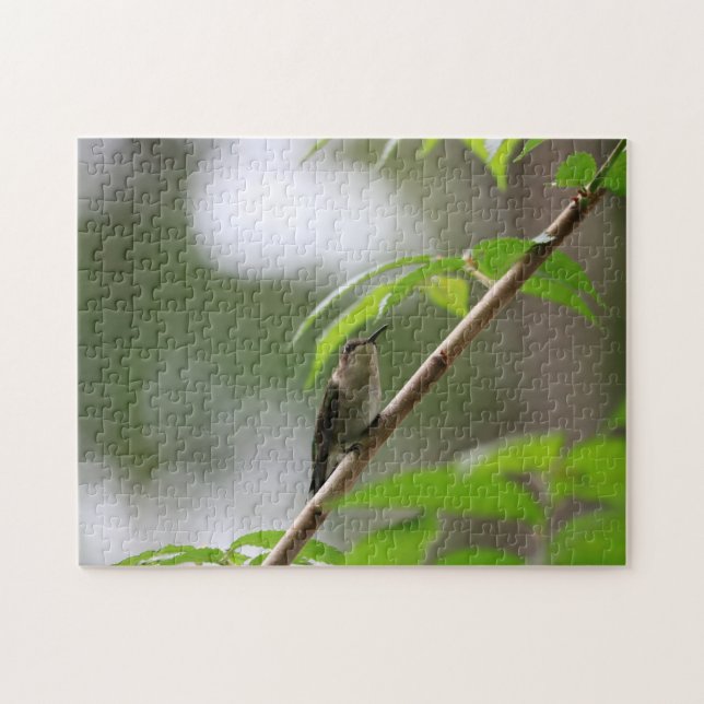 Watcher Hummingbird Family Roligt Puzzle Pussel (Horisontell)