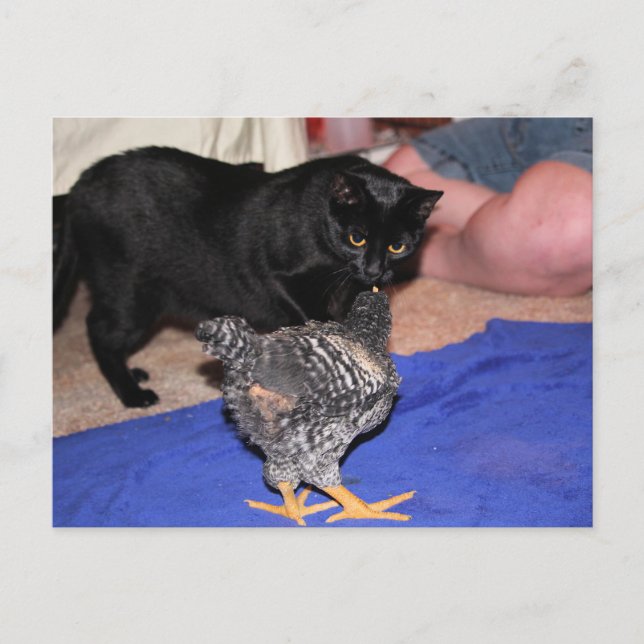 Watchers Vykort (Framsida)