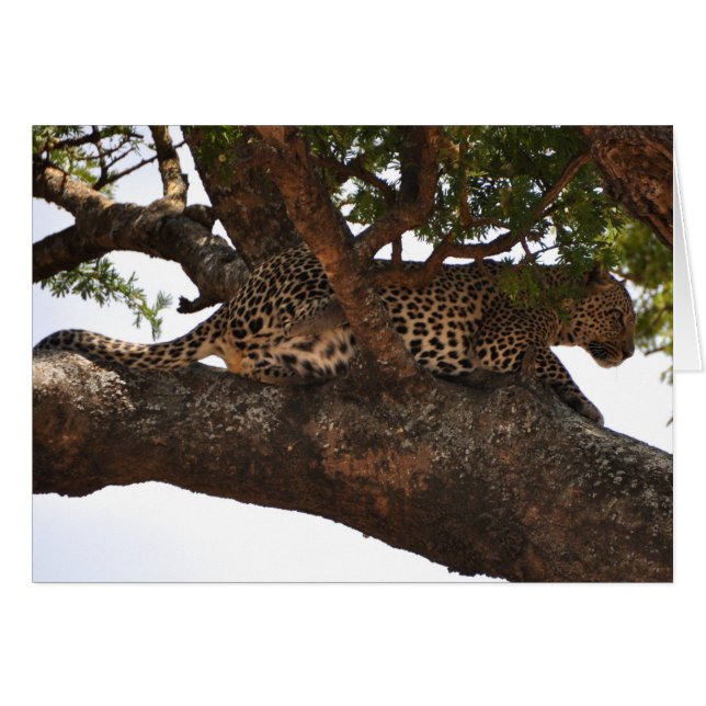 Watchful Hälsningskort (Framsidan Horizontal)