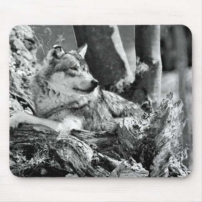 watchful varg musmatta (Framsidan)