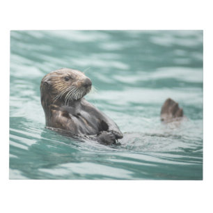 Watchning Sea Otter Anteckningsblock