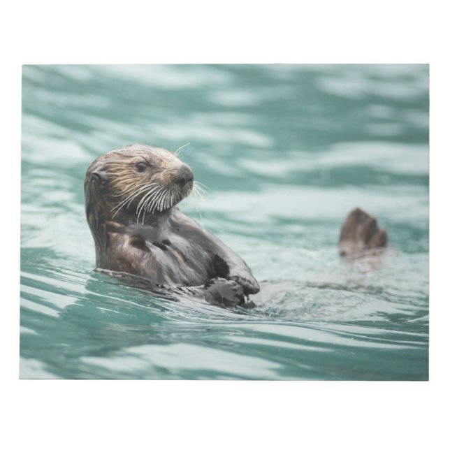 Watchning Sea Otter Anteckningsblock (Framsida)
